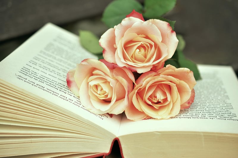 Culinary Book Reviews